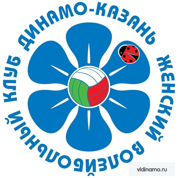 Представляем соперника. "Динамо" Казань, Суперкубок!